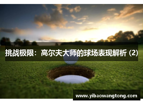挑战极限：高尔夫大师的球场表现解析 (2)