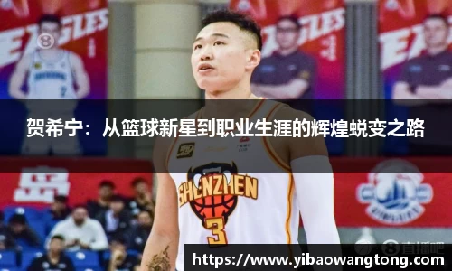 贺希宁：从篮球新星到职业生涯的辉煌蜕变之路